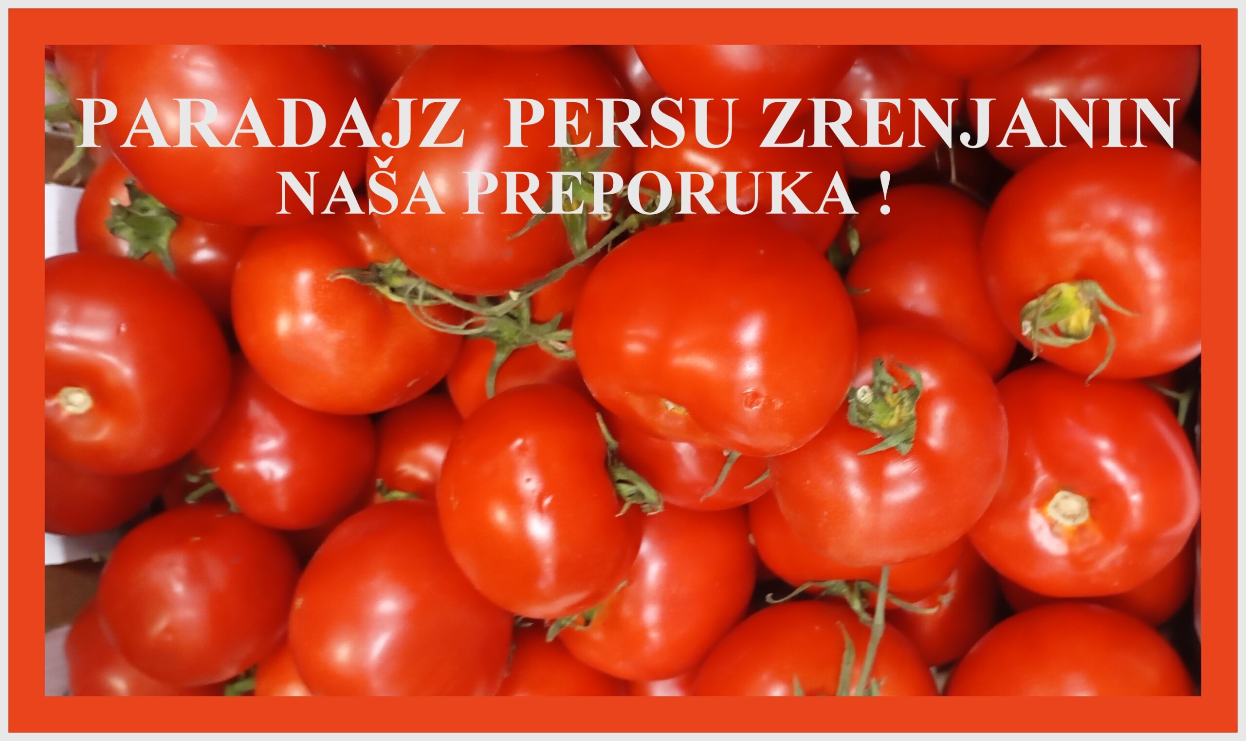 ZRELI CRVENI PARADJZ JE PRAVO SUNČEVO BLAGO