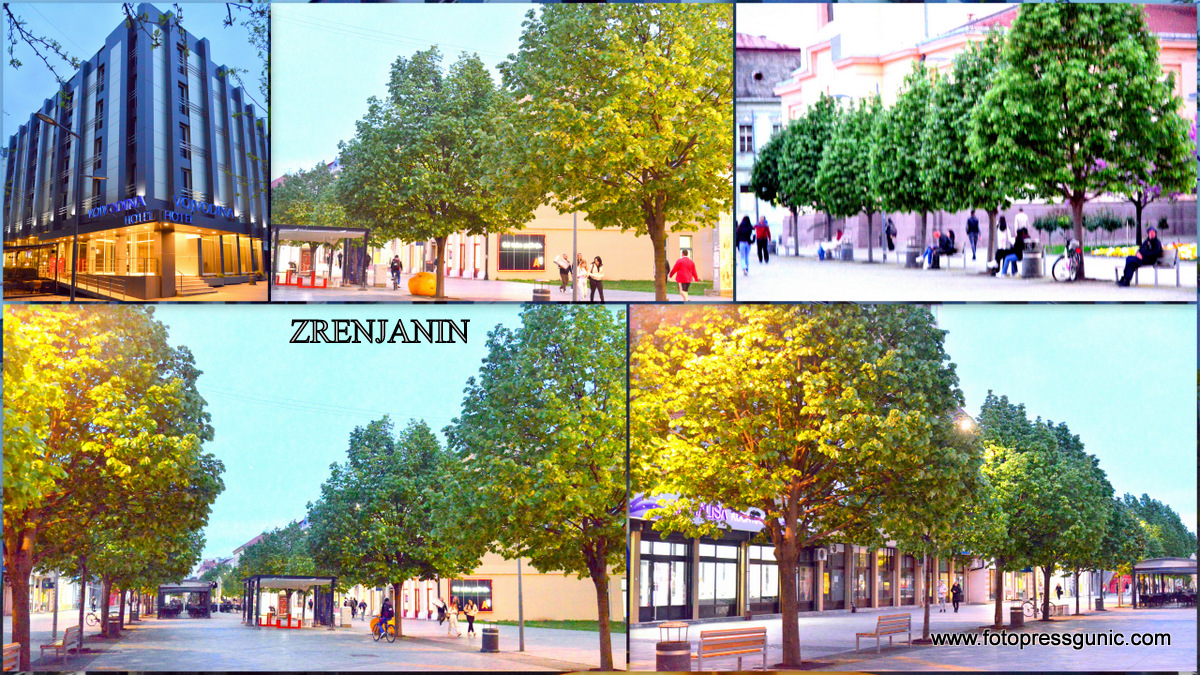 ZRENJANIN-GRAD U ZELENOM RUHU