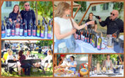 BANATSKI FESTIVAL VINA-SJAJ UKUSA I TRADICIJE