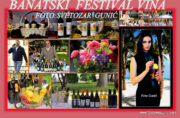 BANATSKI FESTIVAL VINA-UKUSI TRADICIJE U GRADKOJ BAŠTI U ZRENJANINU