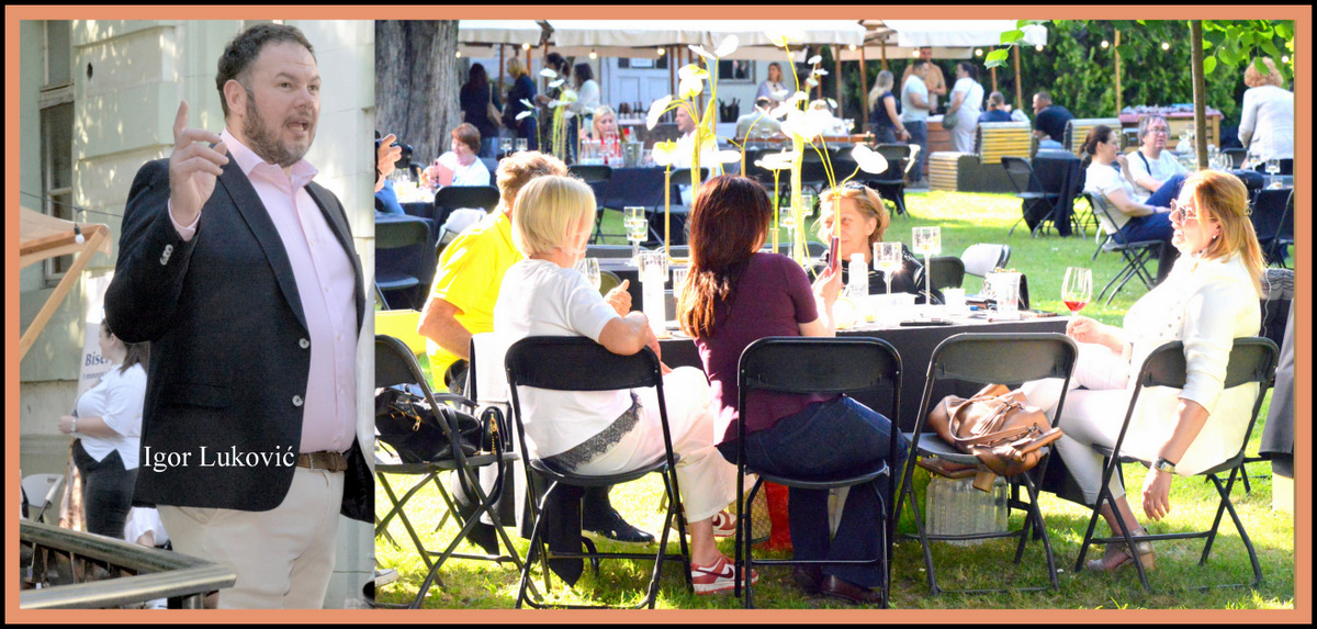 FESTIVAL VINA U ZRENJANINU-CENA UKUSA I PITANJA ?